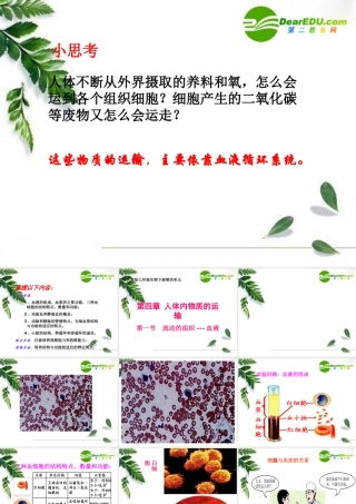 七年级生物人体循环-血液与血管课件人教版