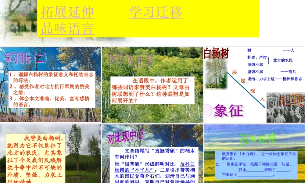 白杨礼赞第二课时