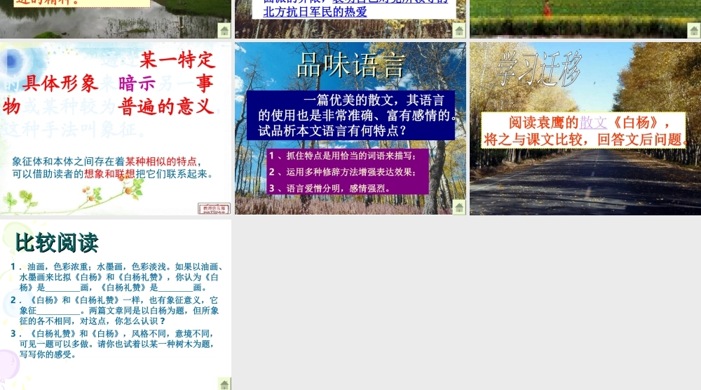白杨礼赞第二课时