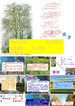白杨礼赞第二课时