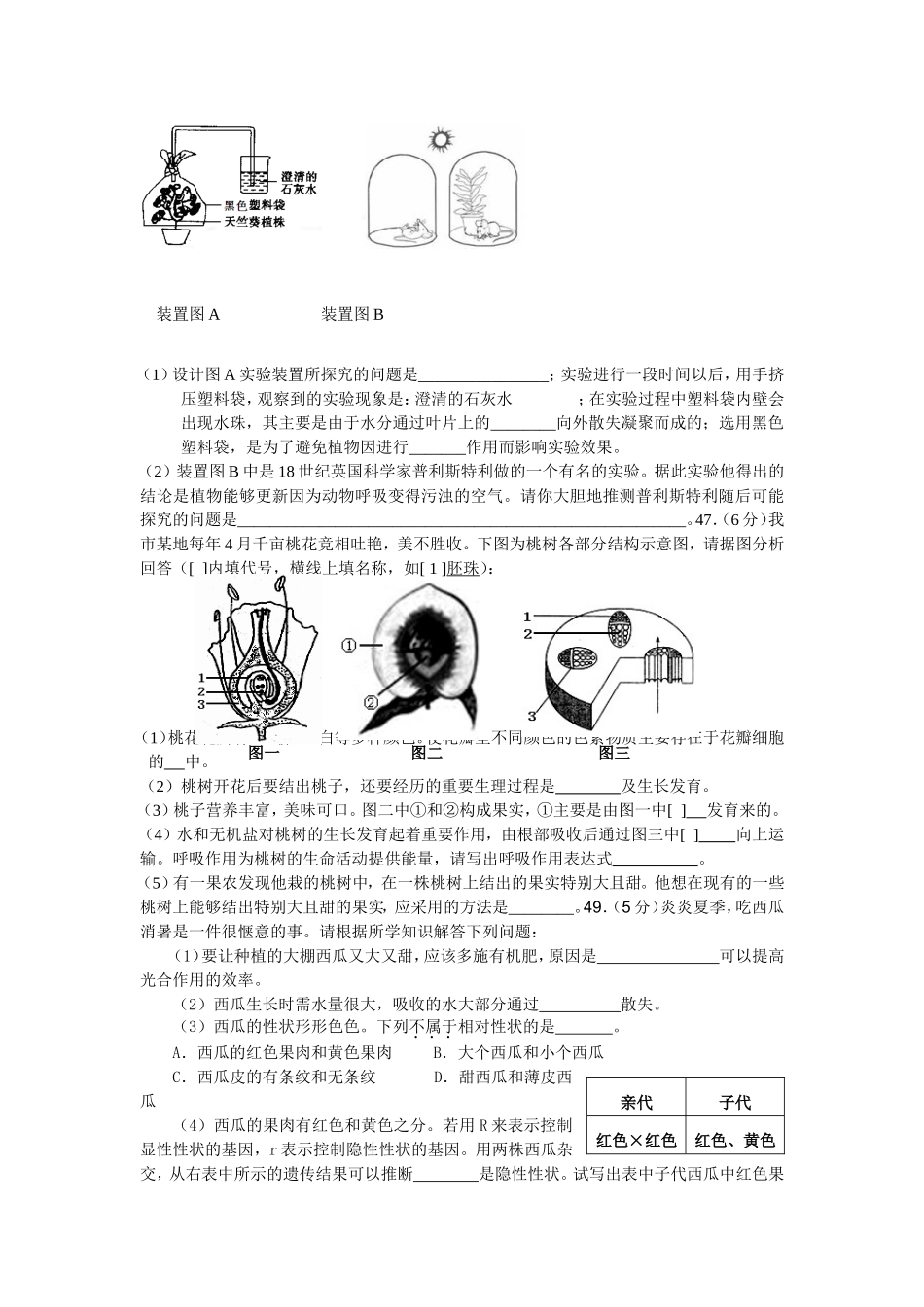 九年级十月考试卷_第2页