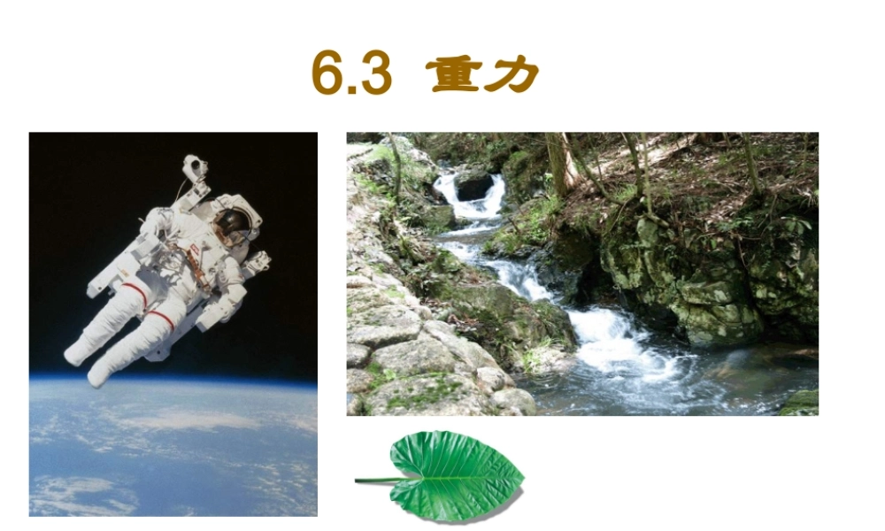（粤教沪科版）八年级物理下册【课件一】63重力