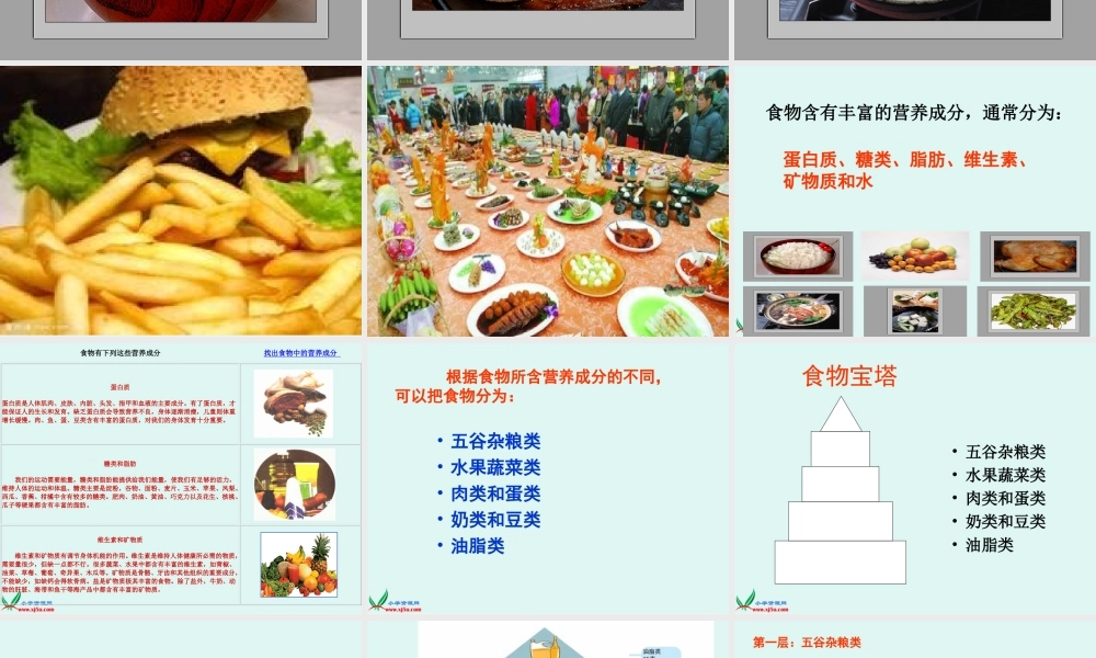 (教科版)四年级科学下册课件_营养要均衡