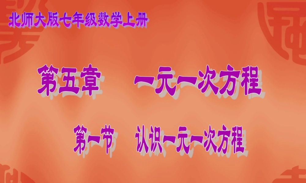 认识一元一次方程（）