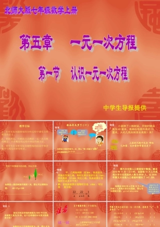 认识一元一次方程（）