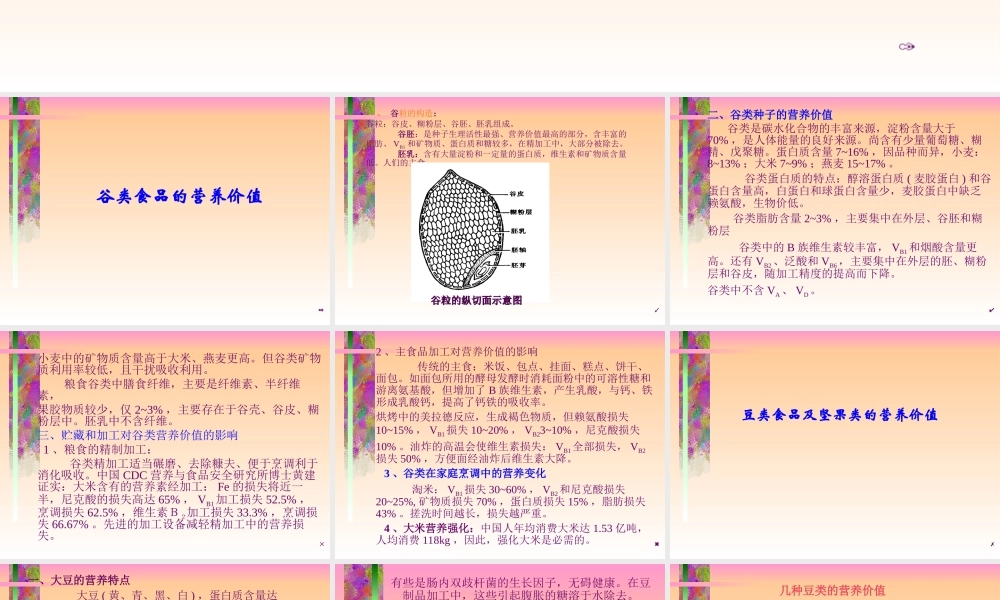 各类食物的营养价值