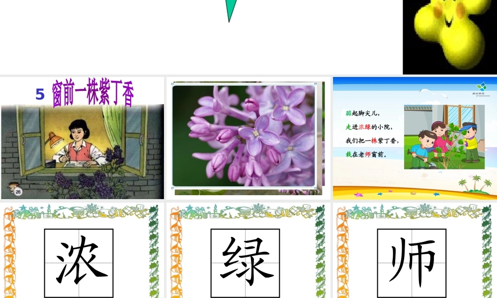 窗前一株紫丁香s版