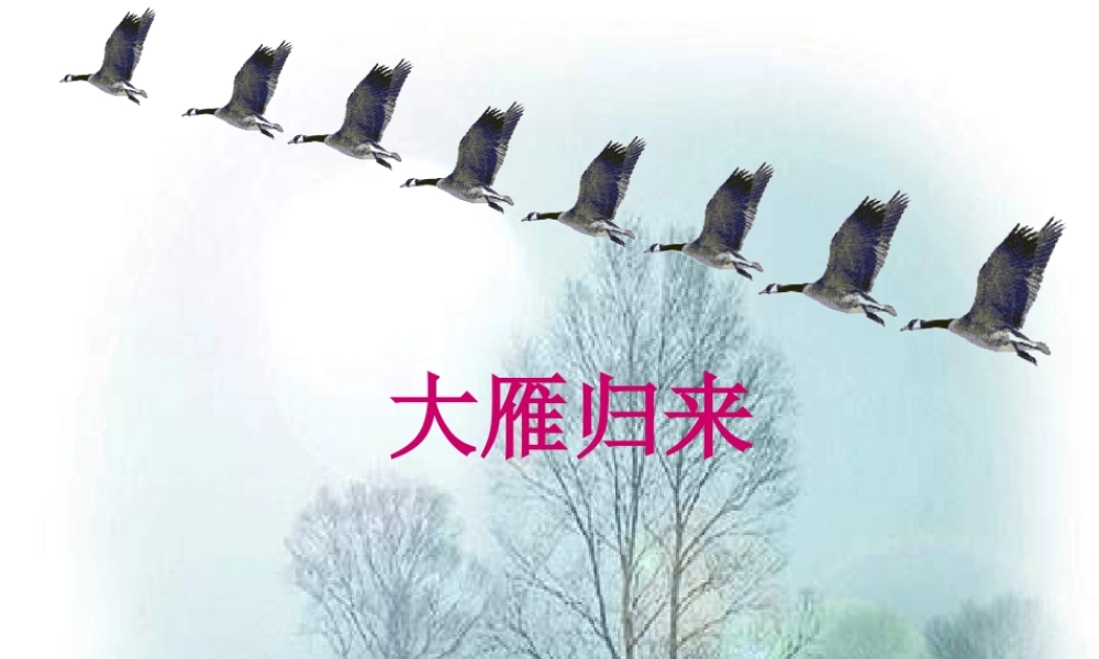 大雁归来 (2)
