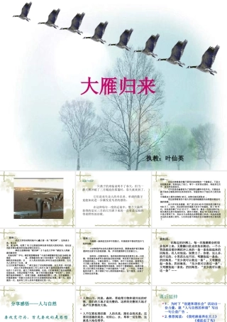 大雁归来 (2)
