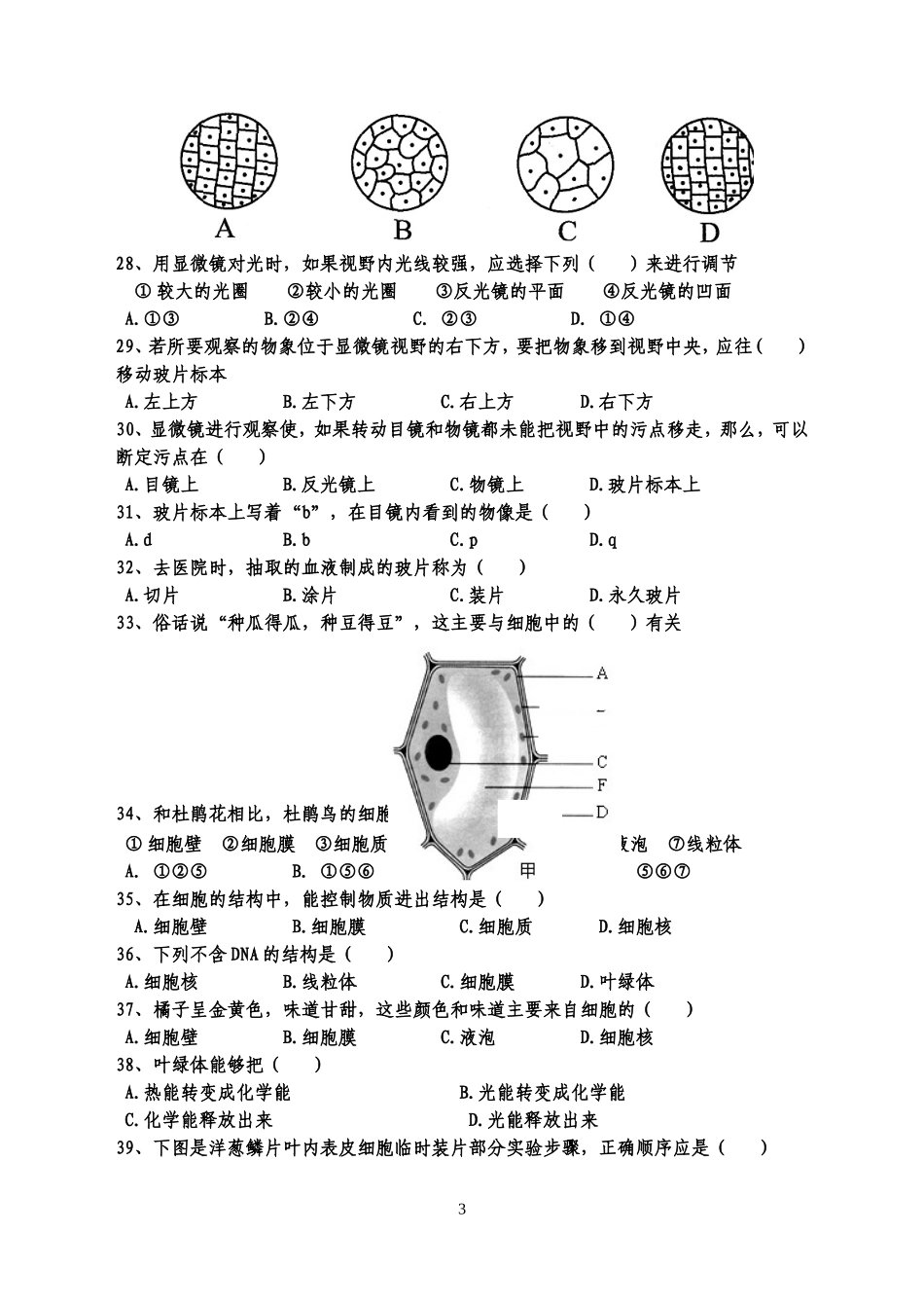 七上期中考卷_第3页