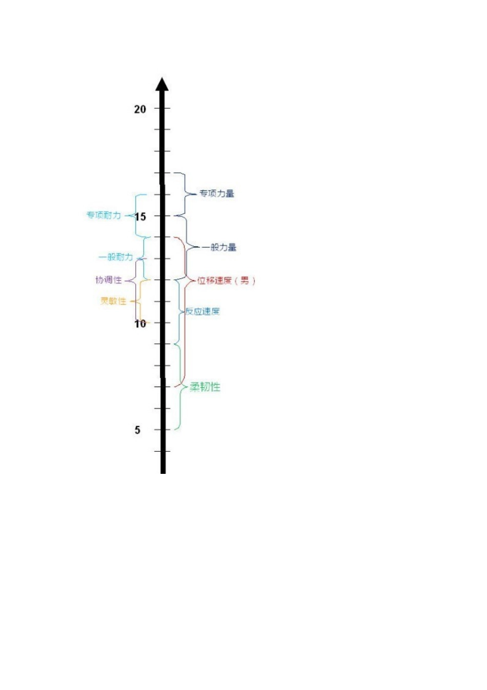 少年儿童身体素质发展的敏感期_第3页