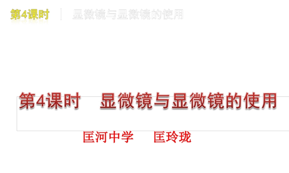 显微镜和显微镜的使用