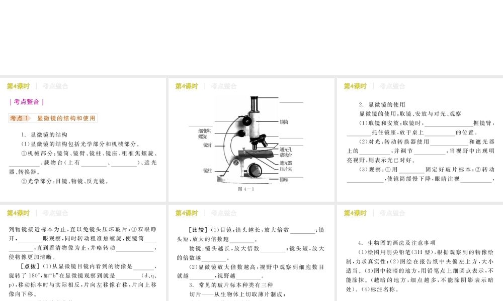 显微镜和显微镜的使用