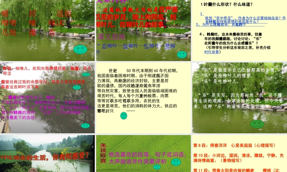 （苏教版）《柳叶儿》2