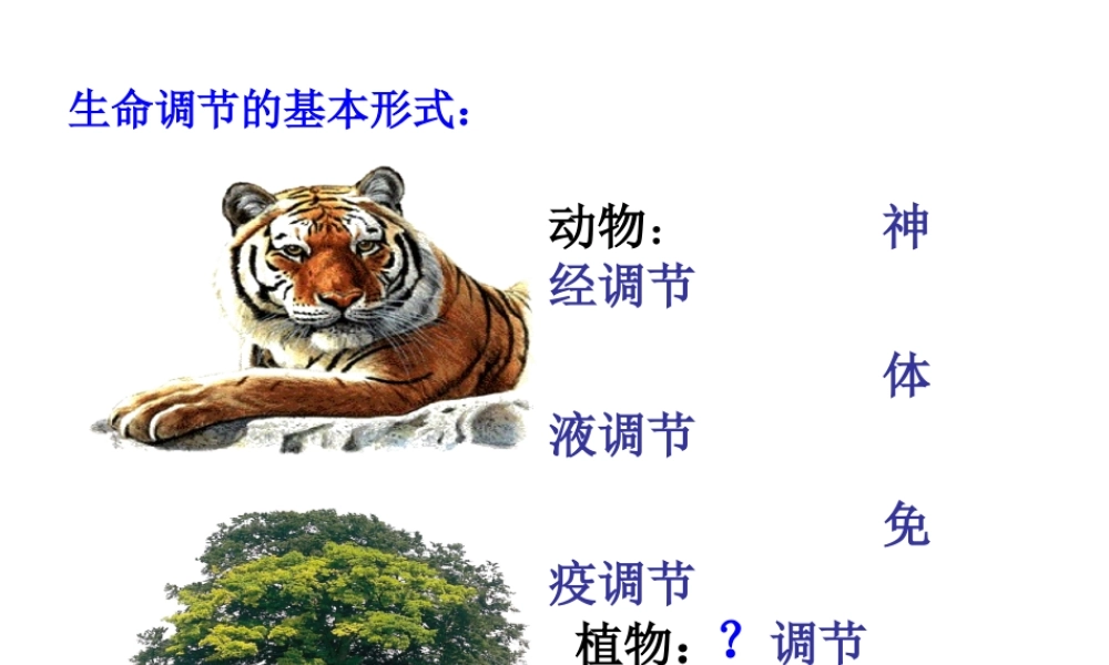 -植物生长素的发现