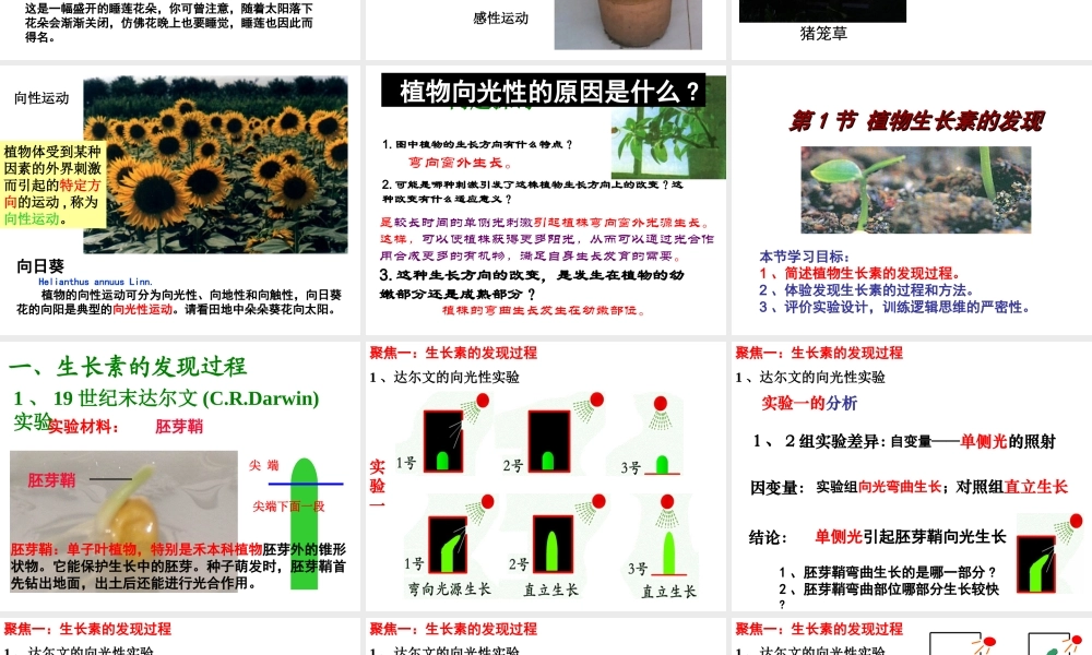 -植物生长素的发现