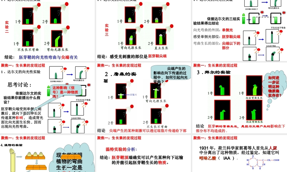 -植物生长素的发现