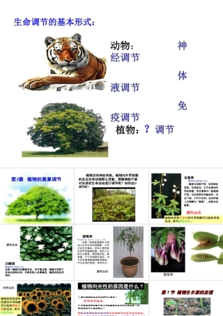 -植物生长素的发现