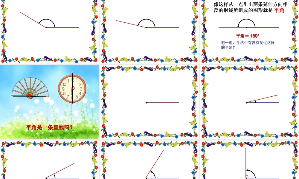 角的分类(课件)