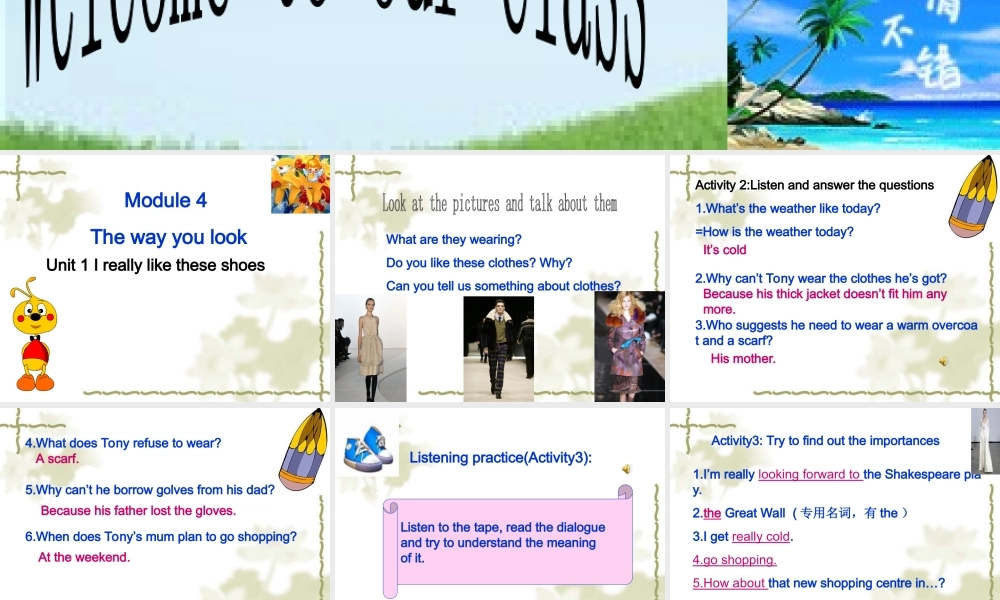 外研版初三英语下册Module4unit1Ireallyliketheseshoes