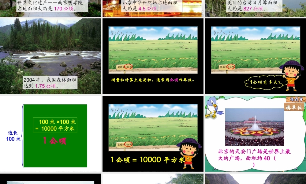 公顷和平方千米杨书花