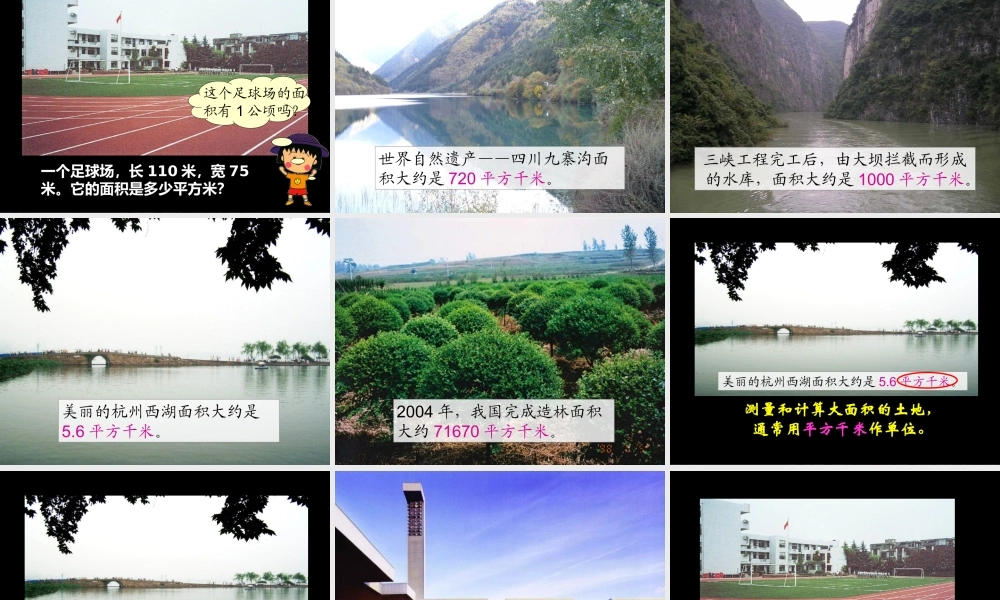 公顷和平方千米杨书花