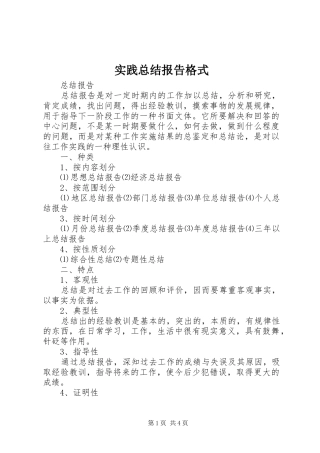 实践总结报告格式