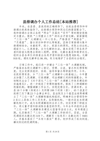 县排调办个人工作总结[本站推荐]