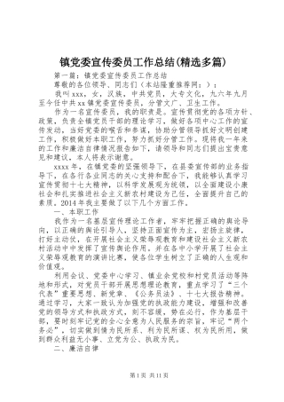 镇党委宣传委员工作总结(精选多篇)