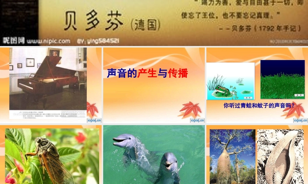 声音的产生与传播+flash课件
