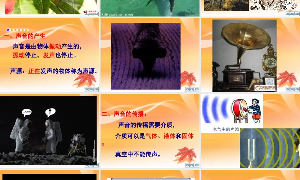 声音的产生与传播+flash课件