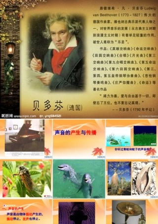 声音的产生与传播+flash课件