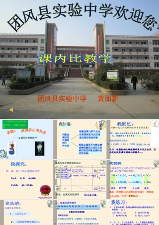 金属的化学性质 (2)