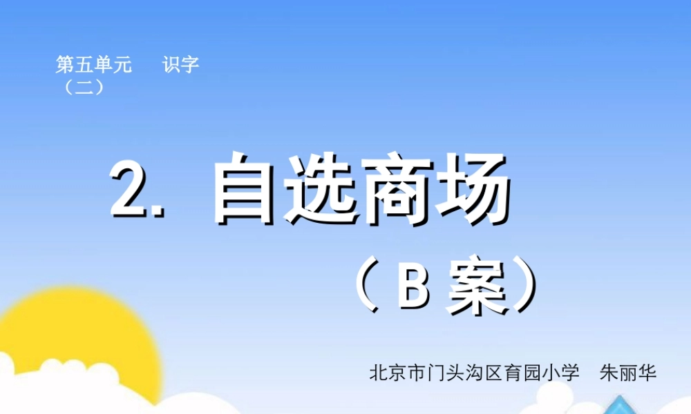 自选商场B案