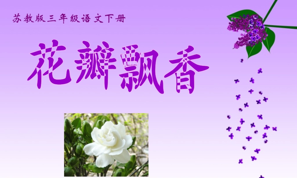花瓣飘香教学课件