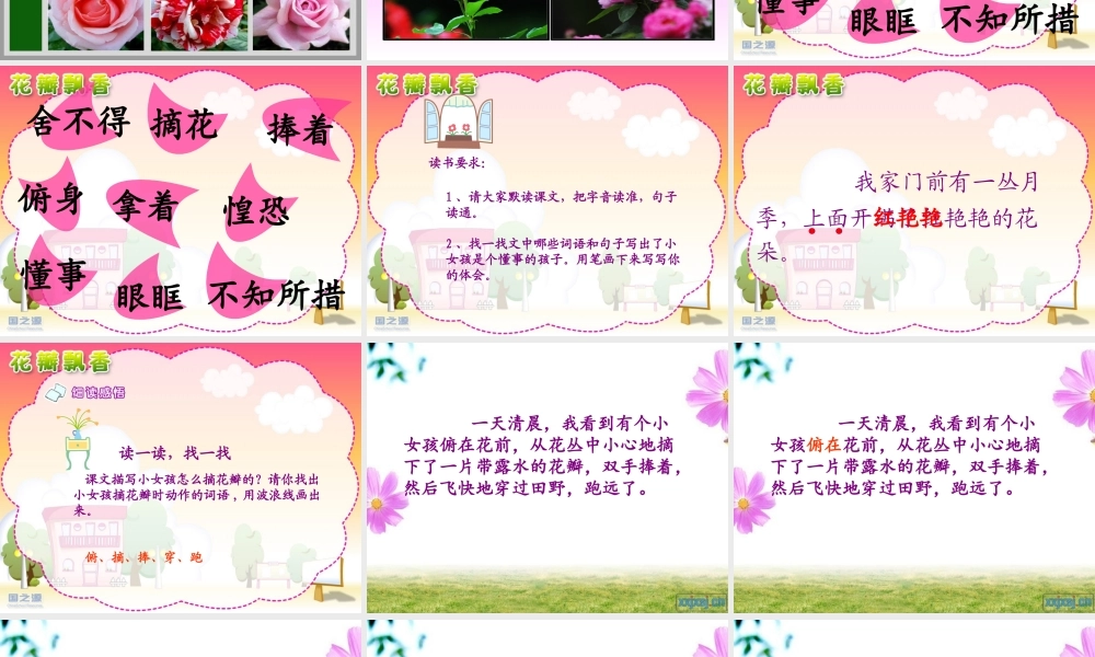 花瓣飘香教学课件