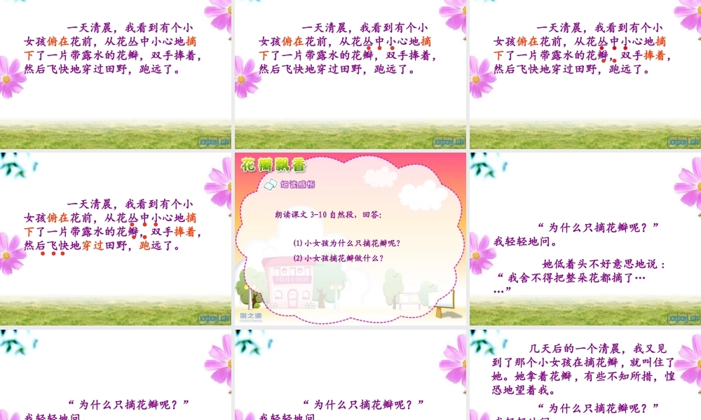 花瓣飘香教学课件
