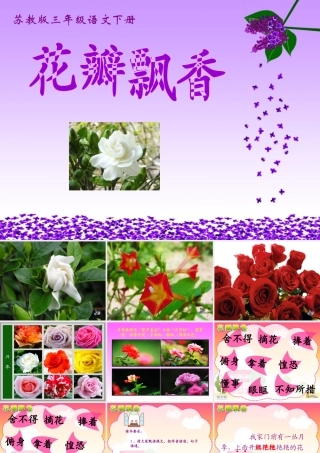 花瓣飘香教学课件