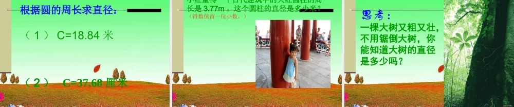 六年级数学上册圆的周长课件人教新课标版2