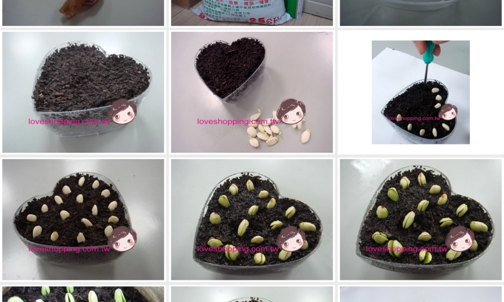 四年级上册语文园地二习作2