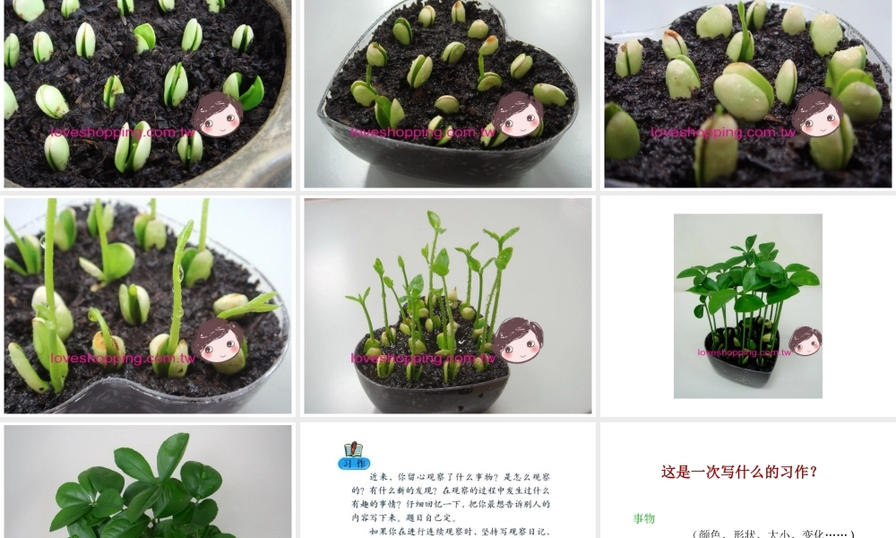 四年级上册语文园地二习作2