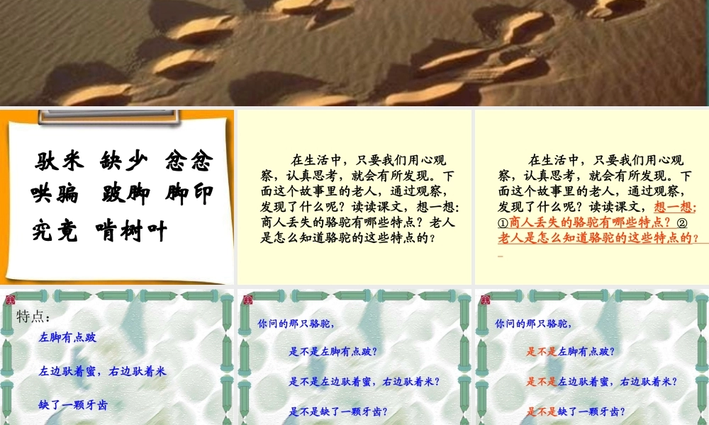 《找骆驼》课件6