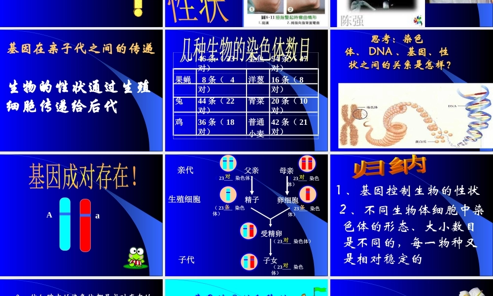八年级生物生物的遗传和变异2