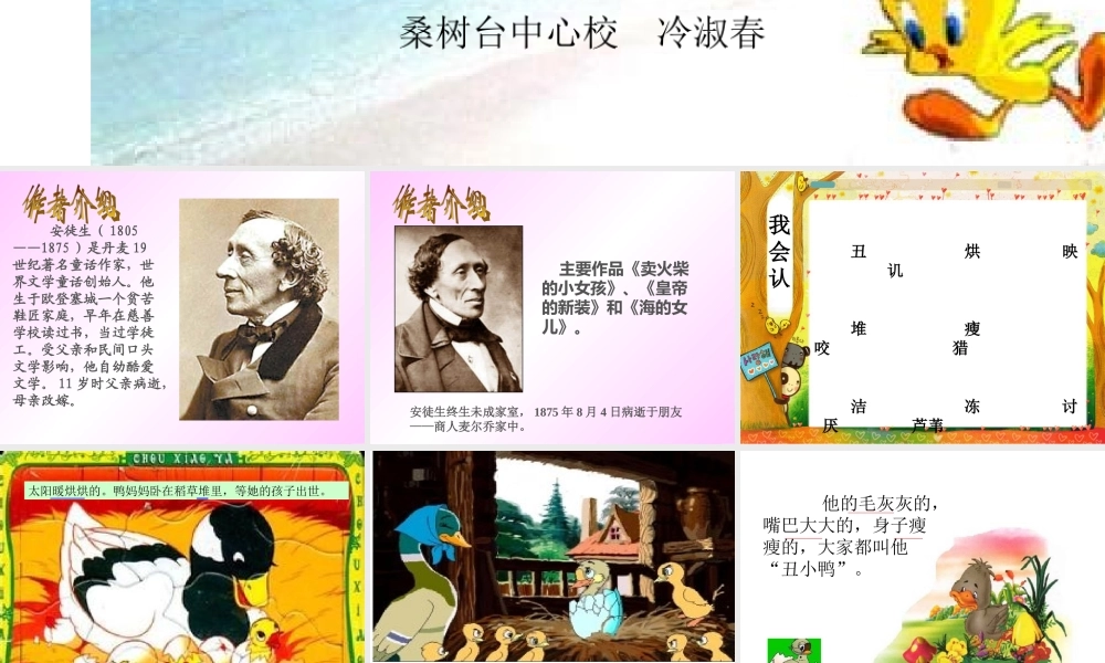丑小鸭PPT课件