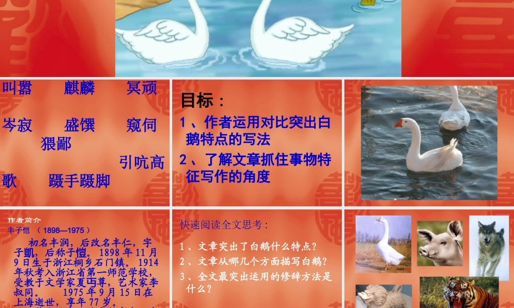 白鹅课件 (2)