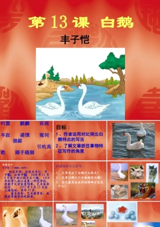 白鹅课件 (2)