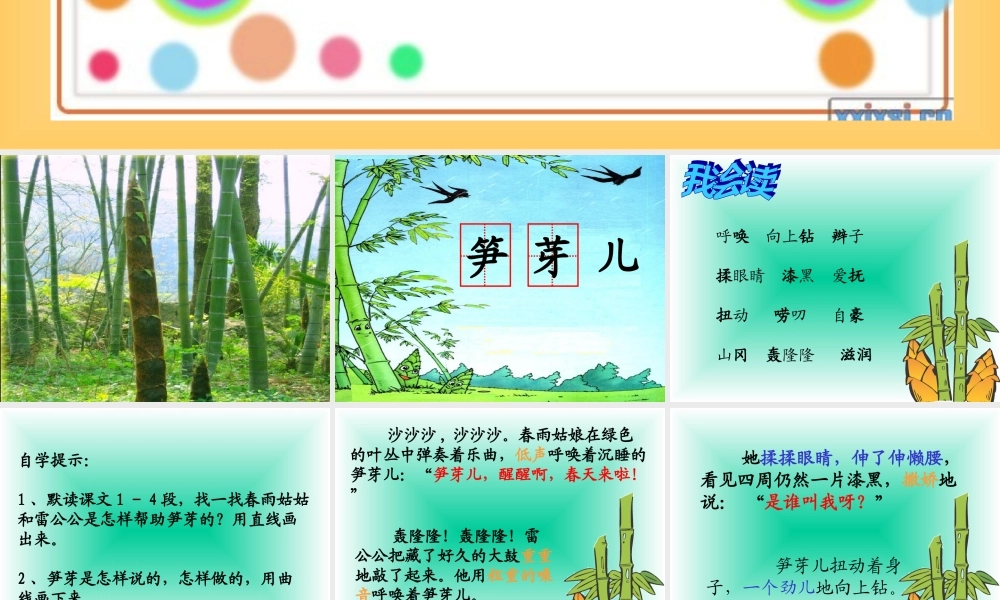 二年级语文《笋芽儿》课件