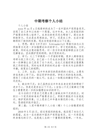 中期考察个人小结