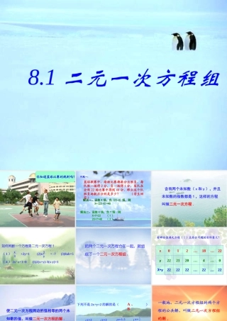 二元一次方程组第课时课件 