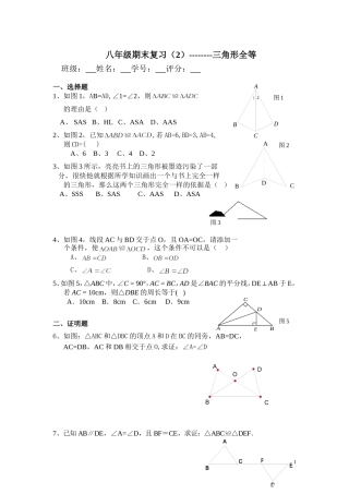八年级期末复习（2）--------三角形全等